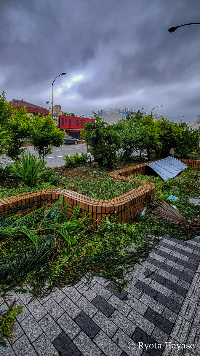 迷走台風に振り回されて